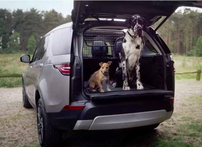Во внедорожниках Land Rover появится душ для собак