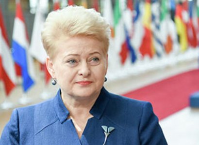 Литва: Европа не может отвернуться от Турции