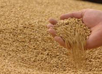 Georgian railways to apply a system of discounts on imports of grain to Armenia