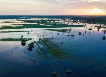 Уровень воды в  Мировом океане за четверть века  вырос  почти на 8 см