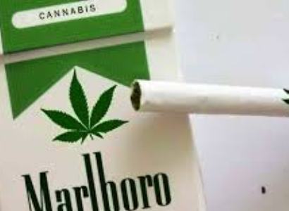 сигарет marlboro с марихуаной