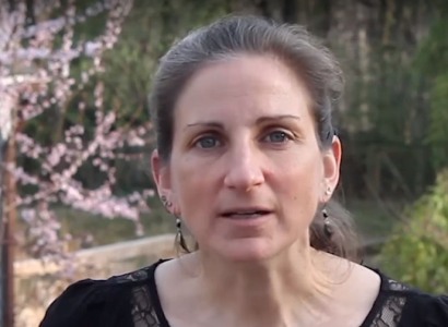 ԱՄՆ վարկանիշը վտանգված է․ ամերիկահայ պատգամավորը վարչակազմին հիշեցնում է ներգաղթի պատմական փորձը