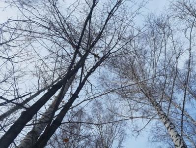 Погода в Армении