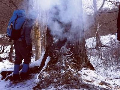 Մենք ձեր ոտքերն ենք նման ձևով վառելու․«Բնապահպանի տուն»
