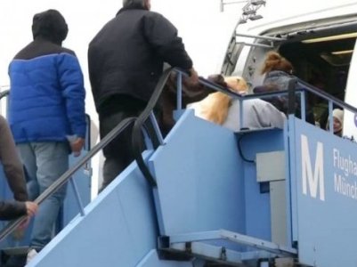 ФРГ депортировала рекордное число беженцев в страны ЕС