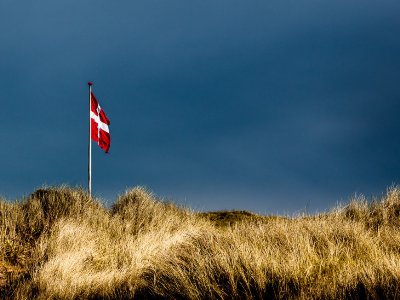 Denmark to build wall on German border