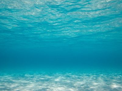К концу века вода в Мировом океане изменит цвет