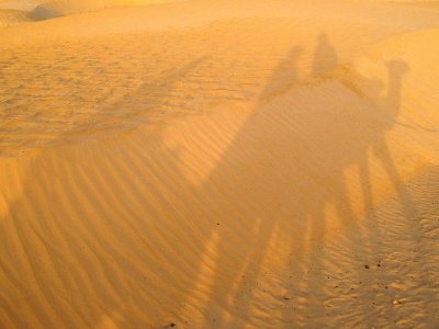 Археологи обнаружили в Сахаре следы неизвестной цивилизации