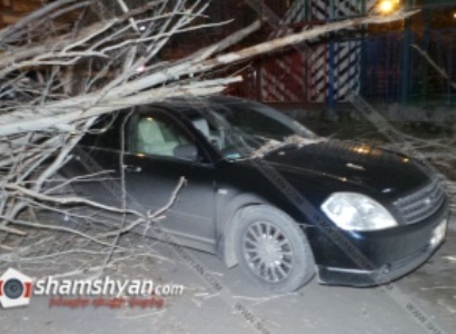 Երեւանում բարդին տապալվել է, վնասել երկու մեքենա