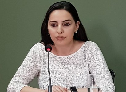 Քաղաքապետը «լայաղ չարեց» դուրս գալ եւ շփվել բողոքող քաղաքացիների հետ․ Թեհմինա Վարդանյան