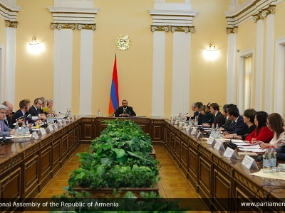 Ararat Mirzoyan discusses National Assembly possible support programmes