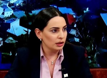 Դուք չէի՞ք, որ պայքար էիք տանում «բուտկաների» դեմ». Թեհիմինա Վարդանյանը՝ Քաղաքային իշխանություններին