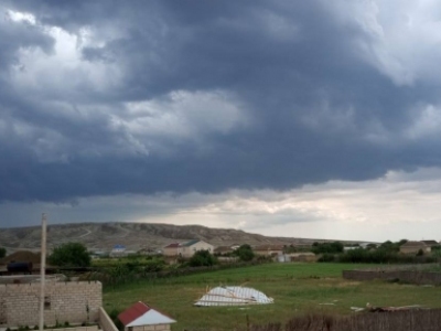 Ադրբեջանում փոթորիկը կով է բարձրացրել օդ