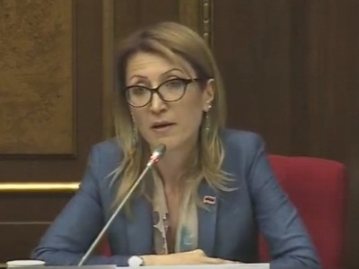 Վարկային գործունեության լիցենզիաները պետք է ԿԲ կողմից տրվեն. ԼՀ