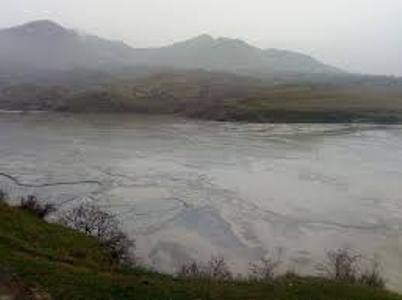 Մեծ Այրումի, Ճոճկանի բուսականության վրա նստած է պոչամբարի բաղադրությանը համընկնող փոշի. քիմիկոս