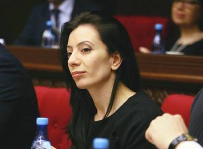 Армянский депутат от власти предлагает запретить лицам с психическими нарушениями баллотироваться в депутаты