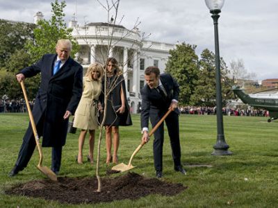 Посаженный Трампом и Макроном дуб умер