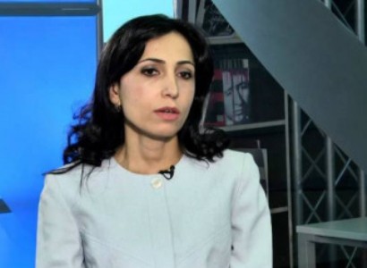 NGO head files attention en route for Armenia control a propos PM's statements
