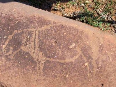 В ЮАР нашли наскальные рисунки возрастом 8000 лет