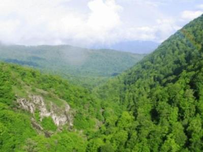 Դիլիջանում «Պուպուզ քար» հանդամասում քաղաքացին ընկել է ձորը. փրկարարներ են նրան տեղափոխել