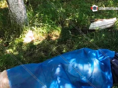 В Армении во время сбора вишни умер пожилой человек