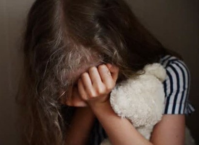 Мужчина в маске волка изнасиловал 11-летнюю девочку