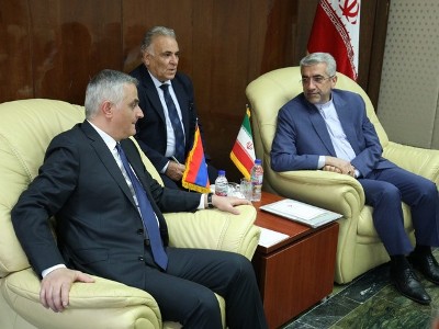 Armenia deputy PM meets with Iranian energy minister