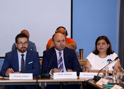 Council of Europe to assist Armenia in revising national youth strategy