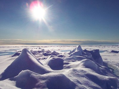 В снегах Арктики обнаружены частицы пластика