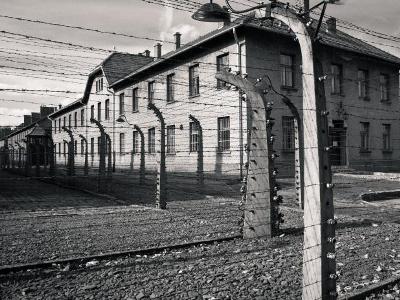 Известны имена 711 воинов-армян, не вернувшихся из концлагерей во время Великой Отечественной войны
