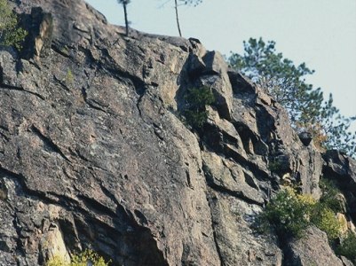 В Сиднее сорвалась со скалы женщина, пытавшаяся сделать селфи