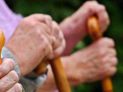 Ծերուկներին բռնացրել են արգելոցում խմբակային սեքսի ժամանակ