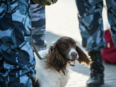 В Ростове-на-Дону эвакуировали торгашеский середина из-за бесхозной сумки