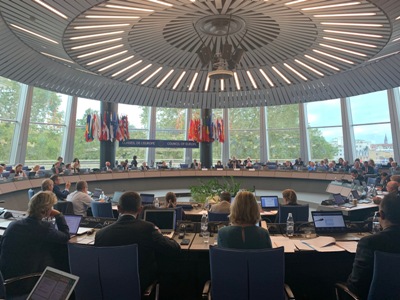 Armenia Ombudsman speaks at session of CoE Committee of Ministers