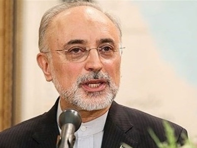 Salehi says Iranian nuclear deal is not one-way road