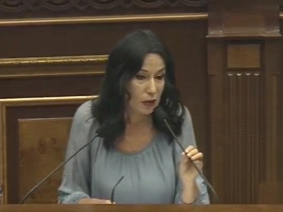 Armenia intends to toughen punishment for animal cruelty