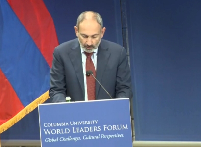 PM: Diaspora is very important factor for Armenia democratic reforms