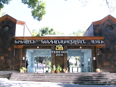 Անակնկալ ունենք, հաջորդ տարի, հավանաբար, կբերենք նոր կենդանի. կենդանաբանական այգու տնօրեն
