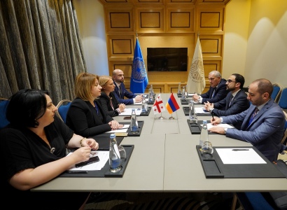 Փոխվարչապետ Տիգրան Ավինյանը հանդիպել է Վրաստանի էկոնոմիկայի ու կայուն զարգացման նախարարին