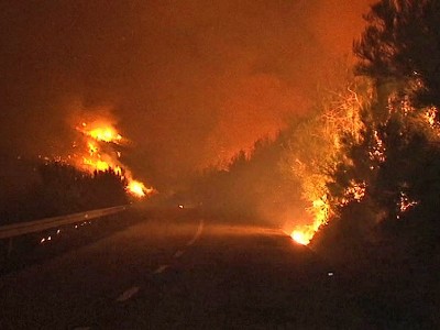 Миллионы жителей Калифорнии могут лишиться электричества из-за лесных пожаров