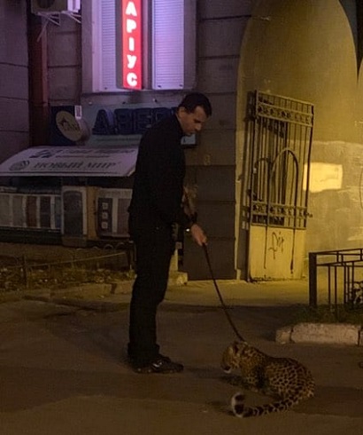В Киеве ищут мужчину, выгуливавшего леопарда