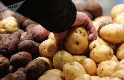 Newspaper: Turkey tomatoes, cucumbers, potatoes appear in Armenia market