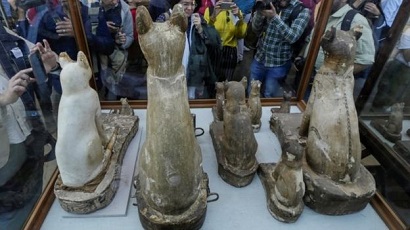 В Египте выставили на всеобщее обозрение древнейшую коллекцию мумифицированных животных
