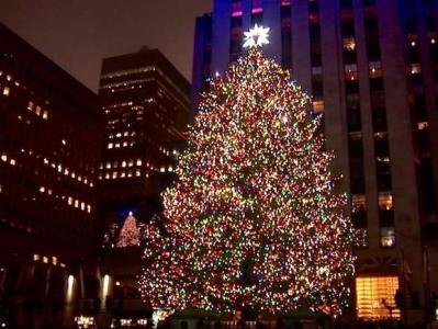 Lights illuminated on New York's main Christmas tree