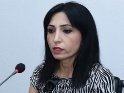 Բժշկական ապահովագրության հարկ մտցնելու փորձը ՀՀ իշխանությունների հերթական մանիպուլյացիան է. ակտիվիստ
