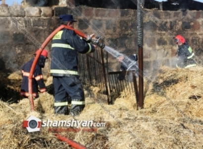 Խոշոր հրդեհ Ազատան գյուղում. այրվել է անասնագոմը, այդ թվում 250 հակ անասնակեր