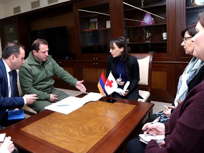 Տոնոյանը ԿԽՄԿ ներկայացուցչի հետ քննարկել է Ադրբեջանում գերեվարված Արայիկ Ղազարյանի և Կարեն Ղազարյանի հարցերը
