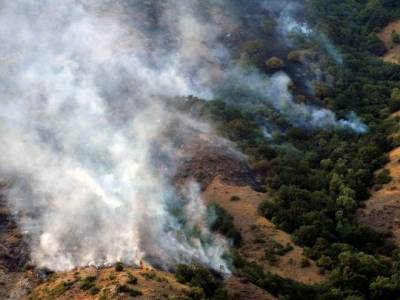 Armenia resumes operation to combat blaze near Georgia border