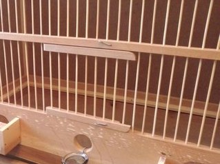 Джеймс Бонд держал детей в самодельных деревянных клетках