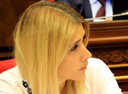 Անվերջ ձգձգվող դատավարությունների շրջան. Էլինար Վարդանյան